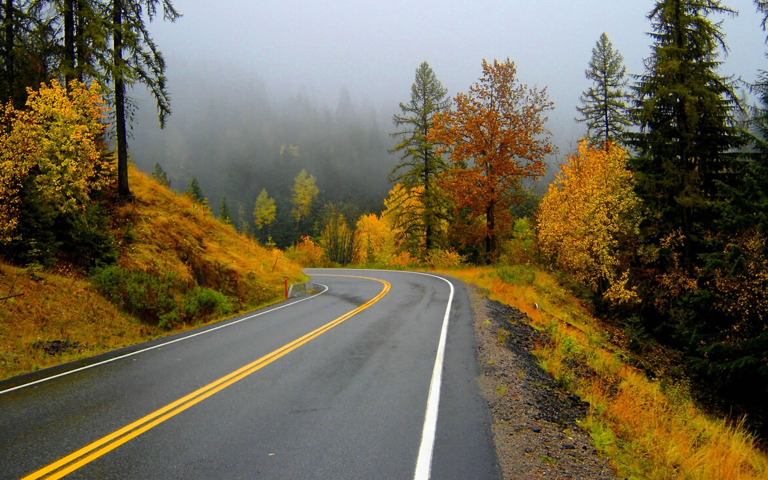 Дорога шла лес озера. Осенняя дорога. Дорога в осень. Пейзаж дорога.