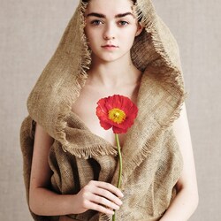 Пазл: Мэйси Уильямс