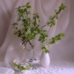 Пазл: Жемчужины