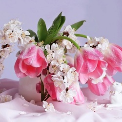 Пазл: Весна