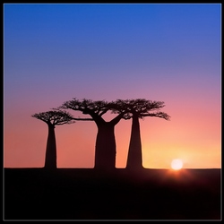Пазл: Африканские восходы