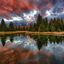 Пазл: Необыкновенная красота