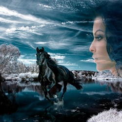 Пазл: Зимняя фантазия 