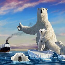 Пазл: Автостопом по Арктике 