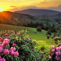 Пазл: Утро в горах 