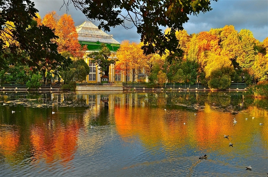 Таврический сад спб фото