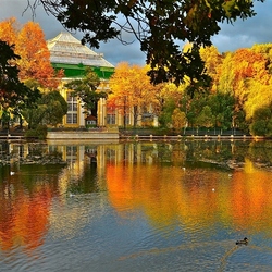 Пазл: Осень в Таврическом саду
