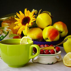 Пазл: В холодное утро