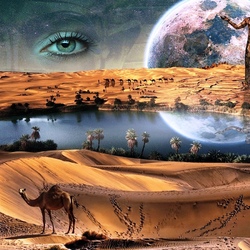 Пазл: Пустынная фантазия 