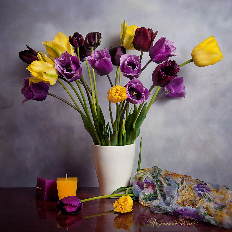 Тюльпаны желтые с фиолетовым