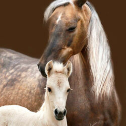 Пазл: С мамой