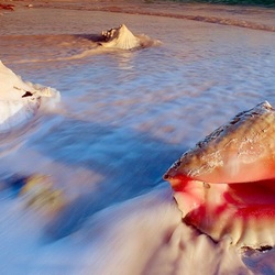 Пазл: Берег