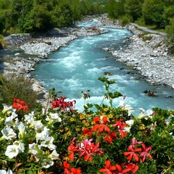 Пазл: Горная река