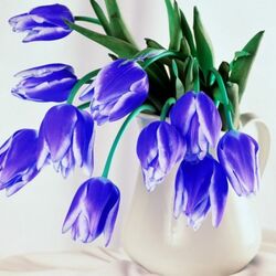 Пазл: Букет тюльпанов