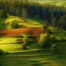 Пазл: Весенний пейзаж