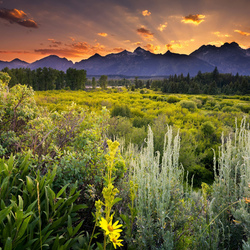 Пазл: Предгорье 