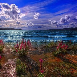 Пазл: Яркий день 