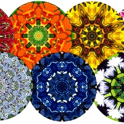 Пазл: Мандалы