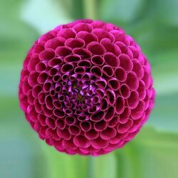 Пазл: Природная геометрия 