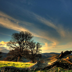 Пазл: Тишина