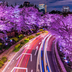 Пазл: Ночная иллюминация