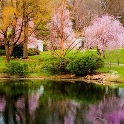Пазл: Весенний сезон