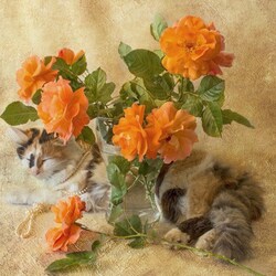 Пазл: Розы и кошка