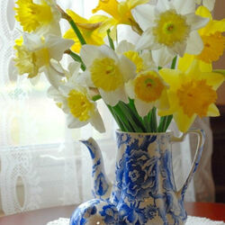 Пазл: Нарциссы