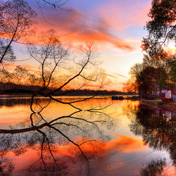 Пазл: На озере 