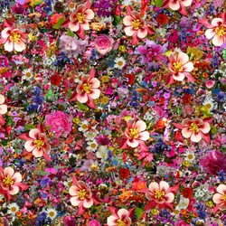Пазл: Цветочный коллаж