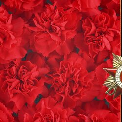 Пазл: Цветы Победы