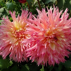 Пазл: Красота!