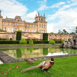 Пазл: Дворец Бленхейм