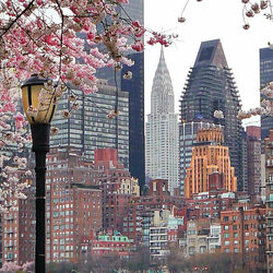 Пазл: Весна в Нью-Йорке