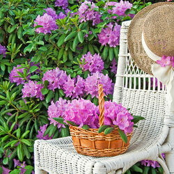 Пазл: В цветущем саду