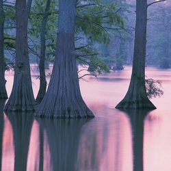 Пазл: Рассвет