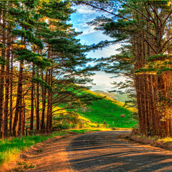 Пазл: Крутой поворот 