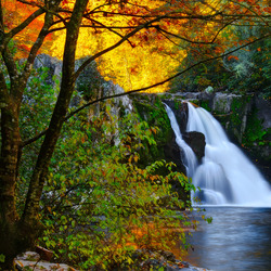 Пазл: Водопад 