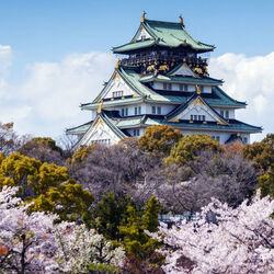 Пазл: Весна в Осаке