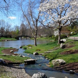 Пазл: Течёт ручей