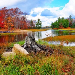 Пазл: Осень 