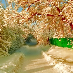 Пазл: Снежная зима 