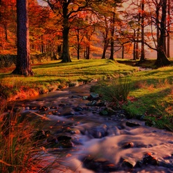 Пазл: На закате 