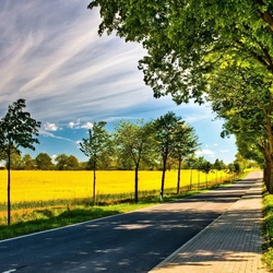 Пазл: Солнечный день 