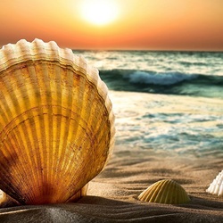 Пазл: Закат