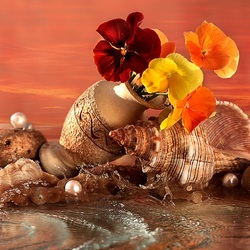 Пазл: Кувшин, ракушки и виола