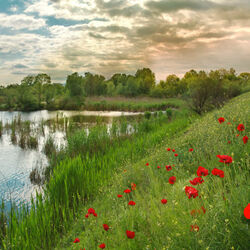 Пазл: Тревожное утро