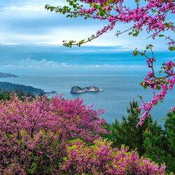 Пазл: Весна