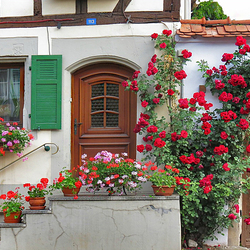 Пазл: Цветы у крылечка