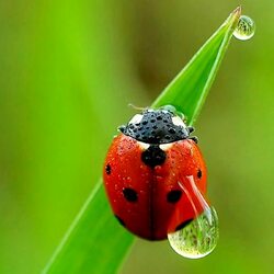 Пазл: Под душем